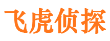 七里河市侦探调查公司